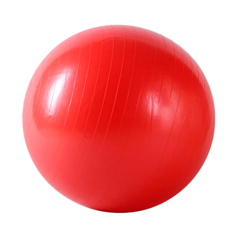 Gym Ball Pelota De Esferodinamia 75cm en internet