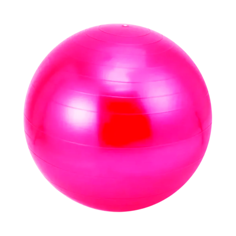 Gym Ball Pelota De Esferodinamia 75cm - Off Suplementos