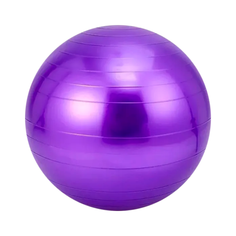 Gym Ball Pelota De Esferodinamia 75cm - tienda online