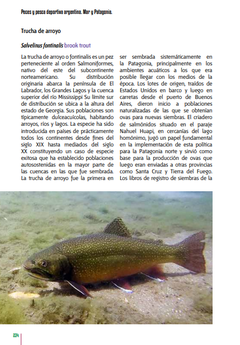 Libro: Peces y Pesca Deportiva Argentina - buy online