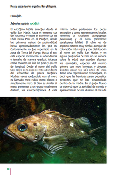 Imagen de Libro: Peces y Pesca Deportiva Argentina