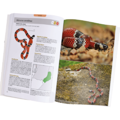 Snakes of Argentina - Complete Guide - La Biblioteca del Naturalista