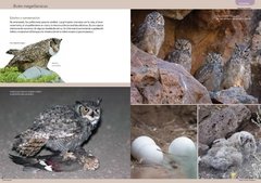 Imagen de Libro: Aves Terrestres de la Patagonia