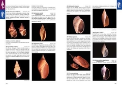 MOLUSCOS MAGALLANICOS - Guía de Moluscos de Patagonia Y Sur de Chile - La Biblioteca del Naturalista