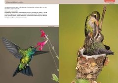 Libro: Aves Terrestres de la Patagonia - tienda online