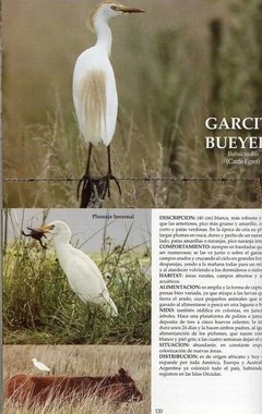 Aves Pampeanas - La Biblioteca del Naturalista