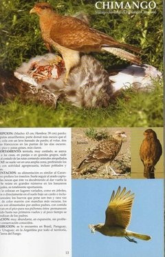 Aves Pampeanas - tienda online