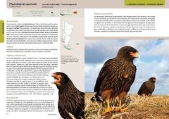 Libro: Aves Terrestres de la Patagonia - buy online