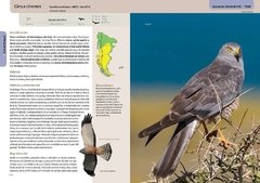 Libro: Aves Terrestres de la Patagonia on internet