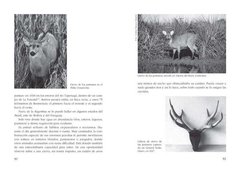 Apuntes Sobre Fauna Argentina en internet