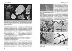 Los Invertebrados Marinos - La Biblioteca del Naturalista