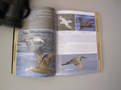 Aves del Noreste de Chubut - tienda online