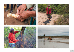 Naturaleza e Historias del Gran Chaco Gualamba - online store