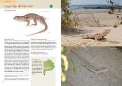 Libro: REPTILES DE BUENOS AIRES - comprar online