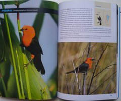 100 Aves Argentinas. Libro on internet