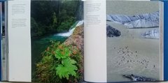 Momentos Mágicos de la Patagonia - La Biblioteca del Naturalista