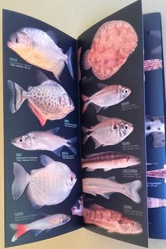 Peces / Fish - del Río de La Plata, Uruguay y Paraná - Guía de Bolsillo - comprar online