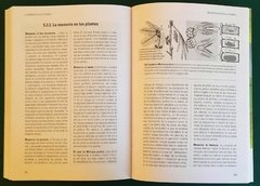 La Conducta de las Plantas - Etología Botánica - comprar online