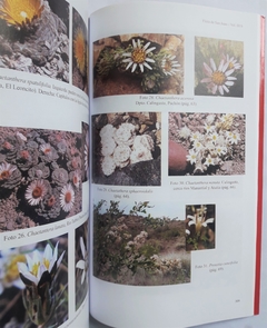 Image of Flora de San Juan - Vol III B
