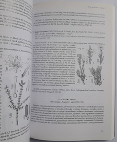 Flora de San Juan - Vol III A - La Biblioteca del Naturalista