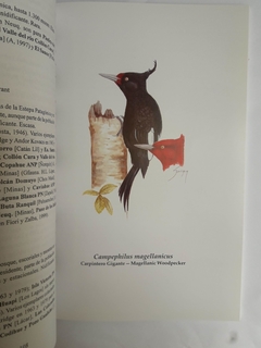 Aves de La Provincia de Neuquen y Patagonia Argentina - Lista Comentada y Distribución - La Biblioteca del Naturalista