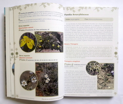 Flora de los Semidesiertos de Sudamérica Templada - Especies nativas de las ecorregiones de la estepa y monte - La Biblioteca del Naturalista