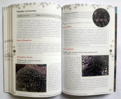 Flora de los Semidesiertos de Sudamérica Templada - Especies nativas de las ecorregiones de la estepa y monte