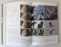 BIRDS OF THE PAMPA (Edic. en Inglés)