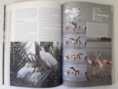 BIRDS OF THE PAMPA (Edic. en Inglés) - comprar online