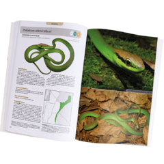 Imagen de Snakes of Argentina - Complete Guide
