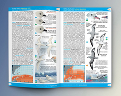 Libro: Aves del Atlántico Sudoccidental y Antártida - La Biblioteca del Naturalista