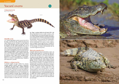 Libro: REPTILES DE BUENOS AIRES - La Biblioteca del Naturalista