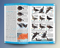 Imagen de Libro: Aves del Atlántico Sudoccidental y Antártida