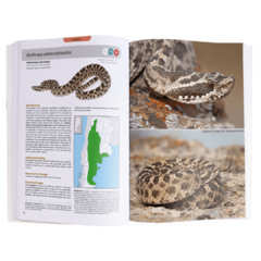 Snakes of Argentina - Complete Guide - tienda online