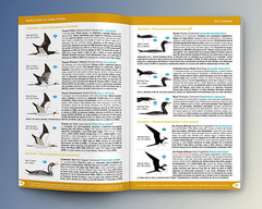Libro: Aves del Atlántico Sudoccidental y Antártida