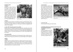 EL AGUARÁ GUAZÚ Chrysocyon brachyurus EN LA ARGENTINA: Lecciones aprendidas y recomendaciones para su conservación