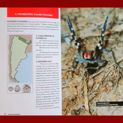 Imagen de Aracnoidismo, Arañas y Escorpiones de Importancia Médica en Argentina