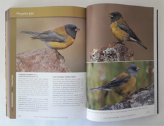 AVES DE TIERRA DEL FUEGO - The Birds of Tierra del Fuego - online store