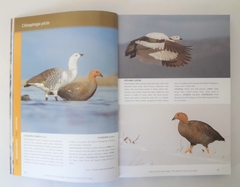 AVES DE TIERRA DEL FUEGO - The Birds of Tierra del Fuego - comprar online