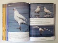AVES DE TIERRA DEL FUEGO - The Birds of Tierra del Fuego - tienda online