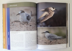 Imagen de AVES DE TIERRA DEL FUEGO - The Birds of Tierra del Fuego