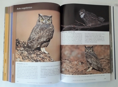 AVES DE TIERRA DEL FUEGO - The Birds of Tierra del Fuego