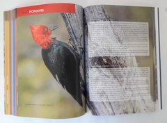 AVES DE TIERRA DEL FUEGO - The Birds of Tierra del Fuego - comprar online