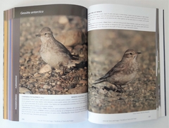 AVES DE TIERRA DEL FUEGO - The Birds of Tierra del Fuego - La Biblioteca del Naturalista
