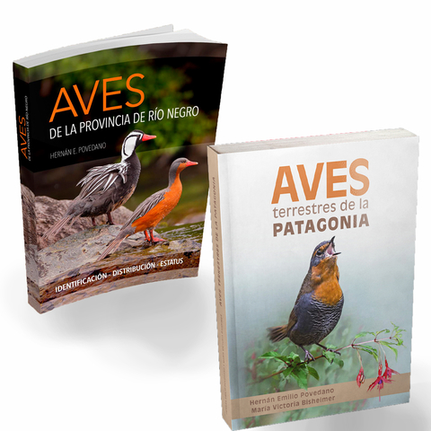 Combo Aves de Patagonia