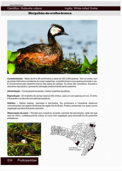 Aves Catarinenses on internet