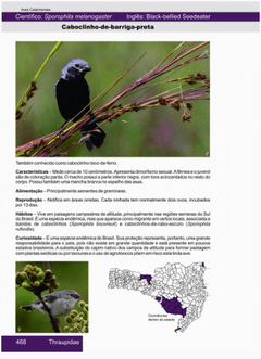Aves Catarinenses - buy online