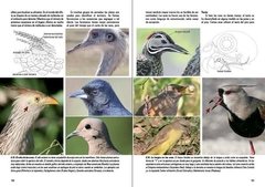 Aves, Vida y Conducta - La Biblioteca del Naturalista
