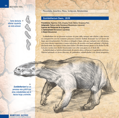 Sudamérica Prehistórica: Bestiario Fósil - comprar online