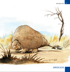 Sudamérica Prehistórica: Bestiario Fósil - La Biblioteca del Naturalista
